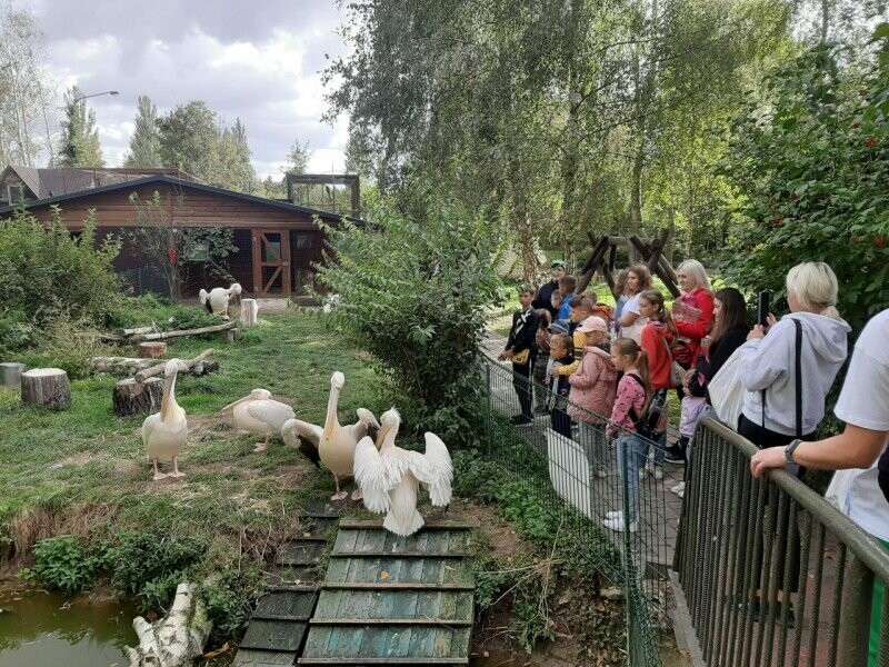 Екскурсію для дітей війсковослужбовців влаштували у Луцьку