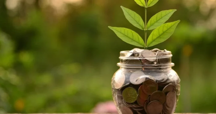  2,7 мільйона гривень витратять на охорону довкілля у Луцькій громаді 