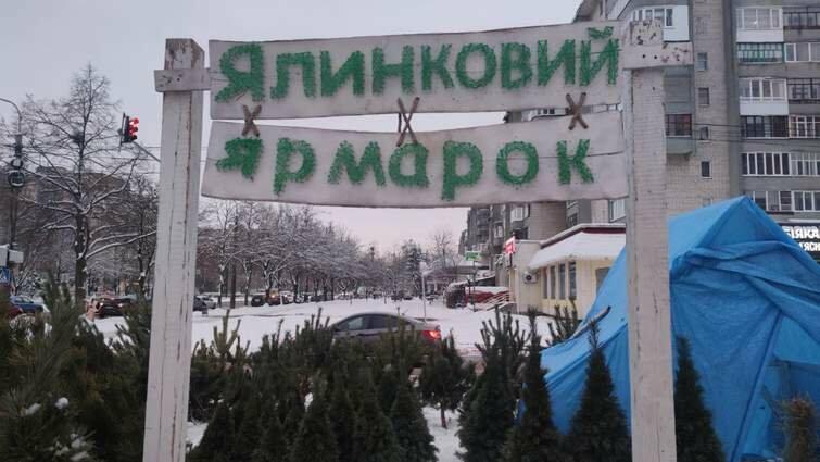 Продаж новорічних ялинок розпочали на 10 ярмарках у Луцьку