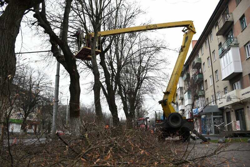 На обрізування гілок витратять понад чотири мільйони гривень у Луцькій громаді 