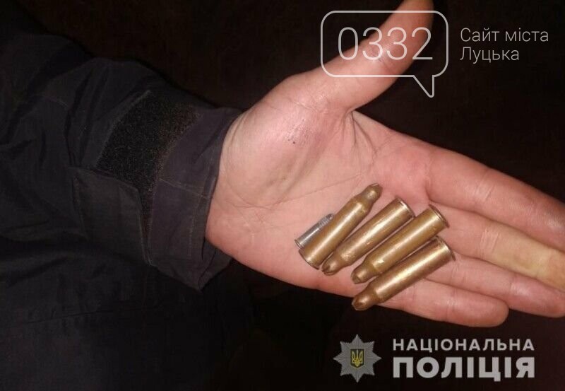 Гвинтівка, пістолет-кулемет, набої: у жителя Луцька вилучили зброю та боєприпаси, фото-3
