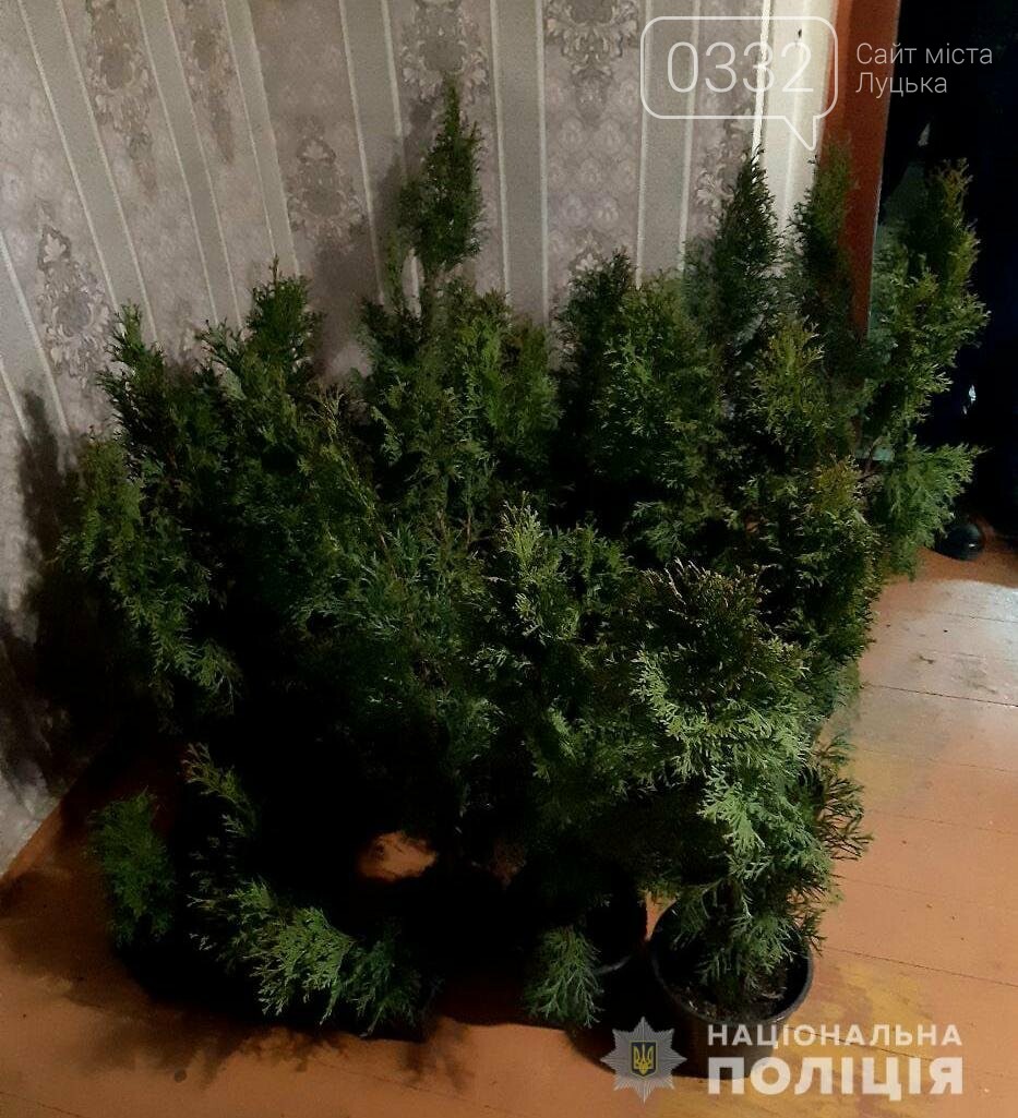У КОВЕЛІ ВИКРИЛИ ЗЛОВМИСНИКА, ПРИЧЕТНОГО ДО КРАДІЖКИ З АВТОМОБІЛЯ, фото-3