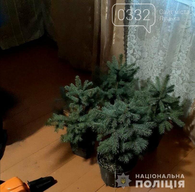 У КОВЕЛІ ВИКРИЛИ ЗЛОВМИСНИКА, ПРИЧЕТНОГО ДО КРАДІЖКИ З АВТОМОБІЛЯ, фото-4