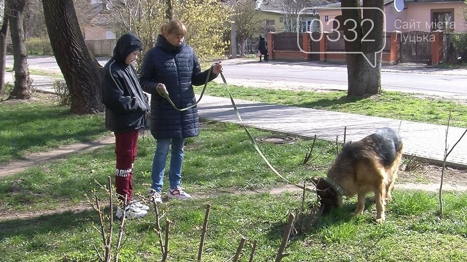 Деякі волиняни отримали на Великдень «найкращих друзів», фото-2