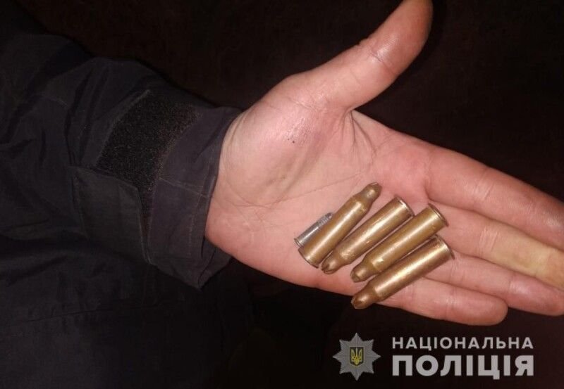 Гвинтівка, пістолет-кулемет, набої: у жителя Луцька вилучили зброю та боєприпаси
