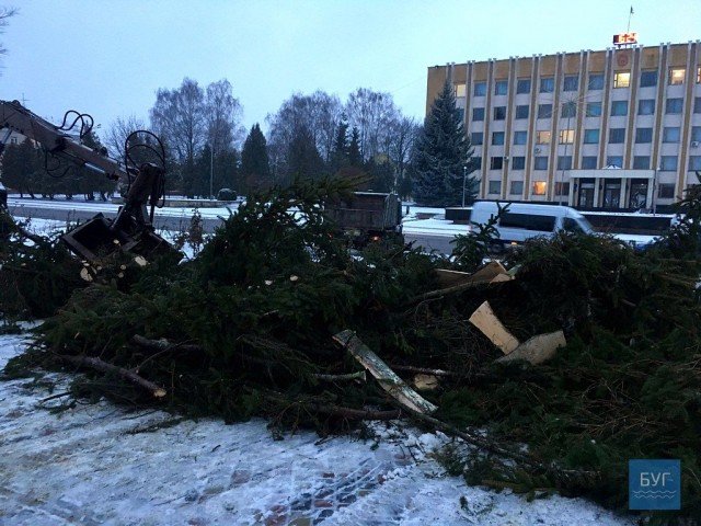 У місті на Волині зламалася новорічна ялинка У місті на Волині зламалася новорічна ялинка, Мирослава Бицька