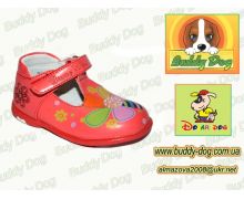 -buddy-dog-346502t-